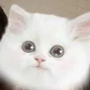 えにらの画像