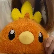 さとう@グッズ整理中の画像