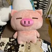 tokkibi
