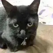 Ruの画像