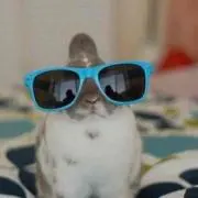 もす