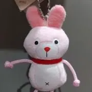 ぽんちゃん