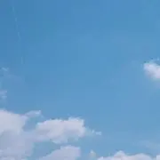 すずも