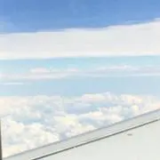 nicoronの画像