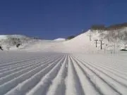 Takaの画像