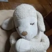 ゆかんこの画像