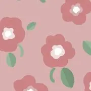 もかの画像