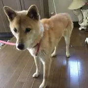 まーちゃんさー