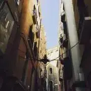 くぎの画像