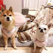 豆さんの画像
