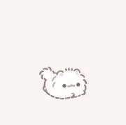 せらの画像