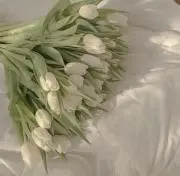 kaの画像