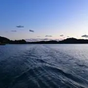 よっしの画像