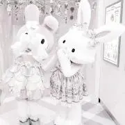 Kの画像