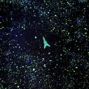 ちぃの画像