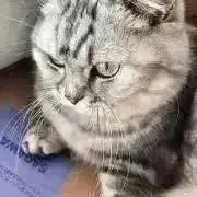 ばーつばの画像