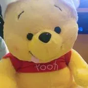 しかの画像