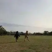takibiの画像
