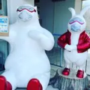 なぁの画像