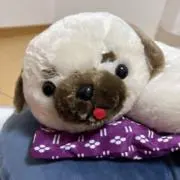 ちぃの画像