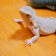 ryo_0674_sato