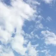 クル