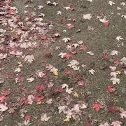 ‪ ·͜·の画像