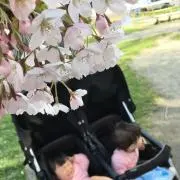 ちゅんちー