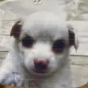 Nanami
