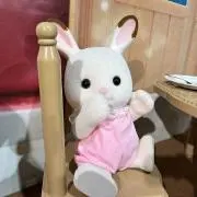 あんこの画像