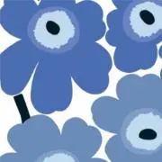 N.の画像