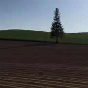 tkykの画像