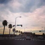 aya様専用 regleam プードルベスト - メルカリ