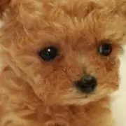 たけちゃん