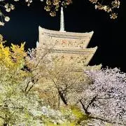 頑張るオヤジ