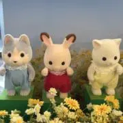 ⭐︎さくら⭐︎の画像