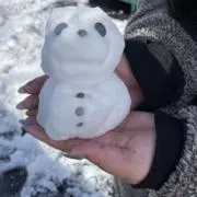 Halaの画像