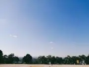 和奏の画像