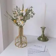 てんの画像