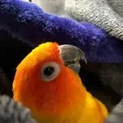 美里♪断捨離中
