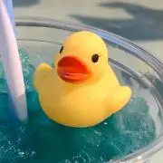 あんこうの画像
