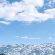 りりりの画像