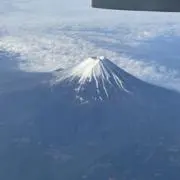 さっくんの画像