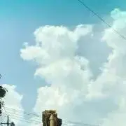 ゆりかめの画像