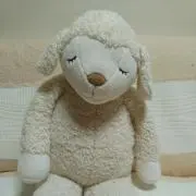 カノン