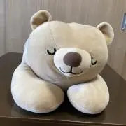わんこの画像