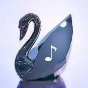 SWAN‪‪❤︎‬プロフ必読!!の画像