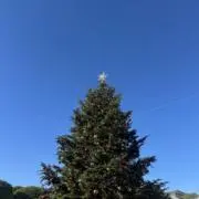 @の画像