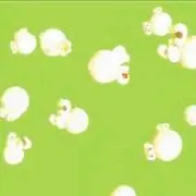 ぽむ3の画像