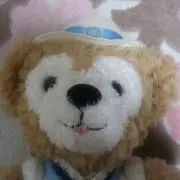 コタツ司令官